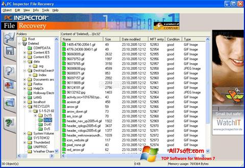 Skærmbillede PC Inspector File Recovery Windows 7