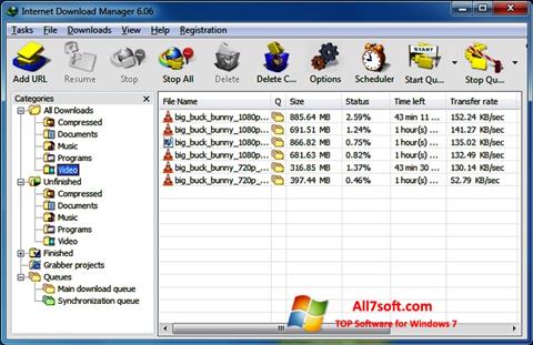 Skærmbillede Internet Download Manager Windows 7