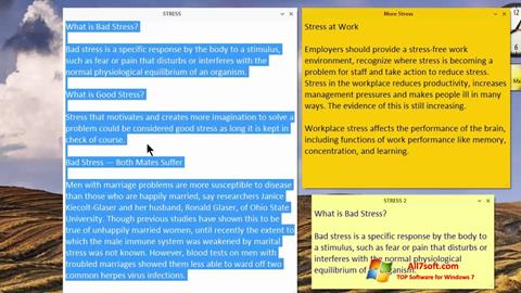 Skærmbillede Simple Sticky Notes Windows 7