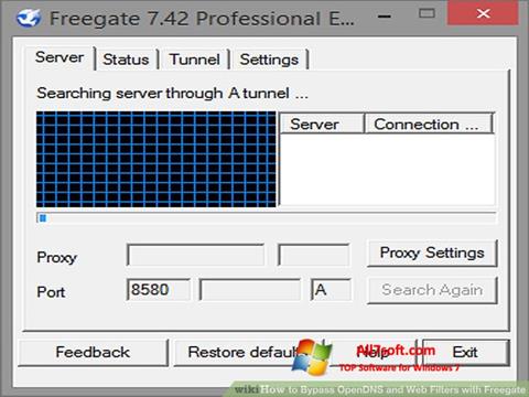 Skærmbillede Freegate Windows 7