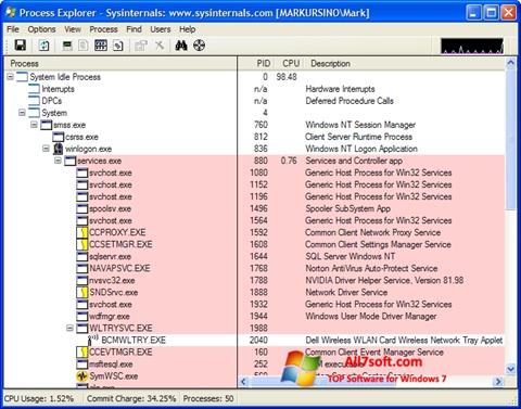 Skærmbillede Process Explorer Windows 7